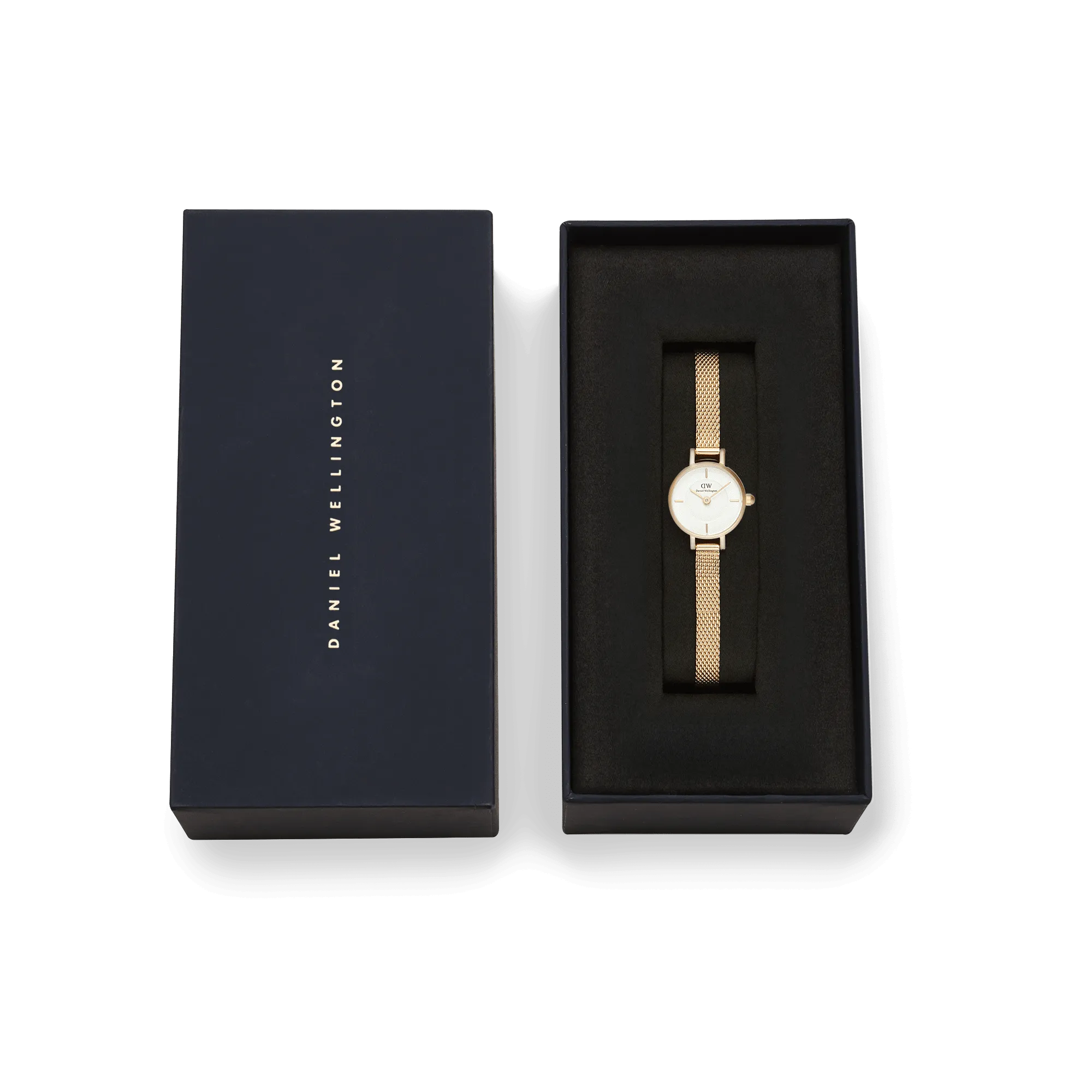 Petite Mini Evergold Daniel Wellington