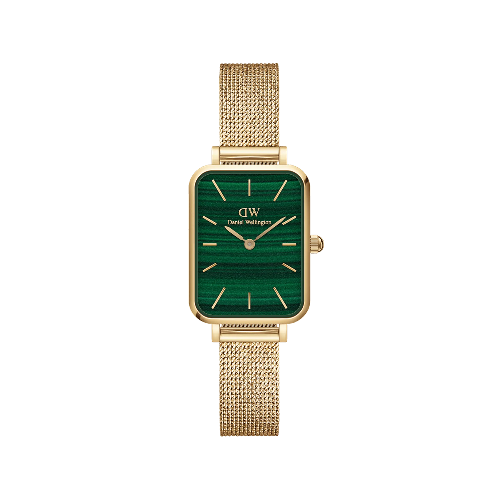 Quadro Pressed Evergold Daniel Wellington