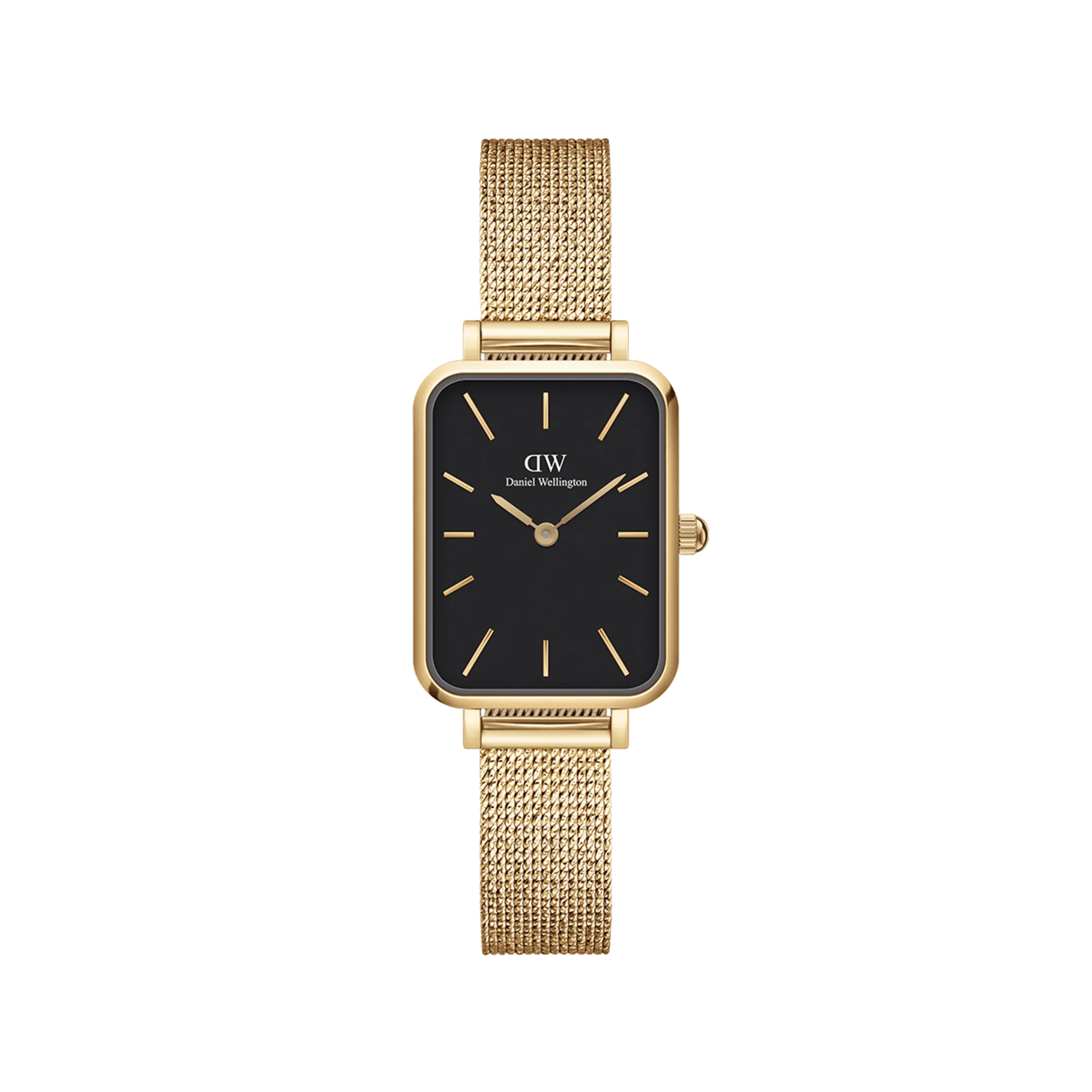 Quadro Pressed Evergold Daniel Wellington