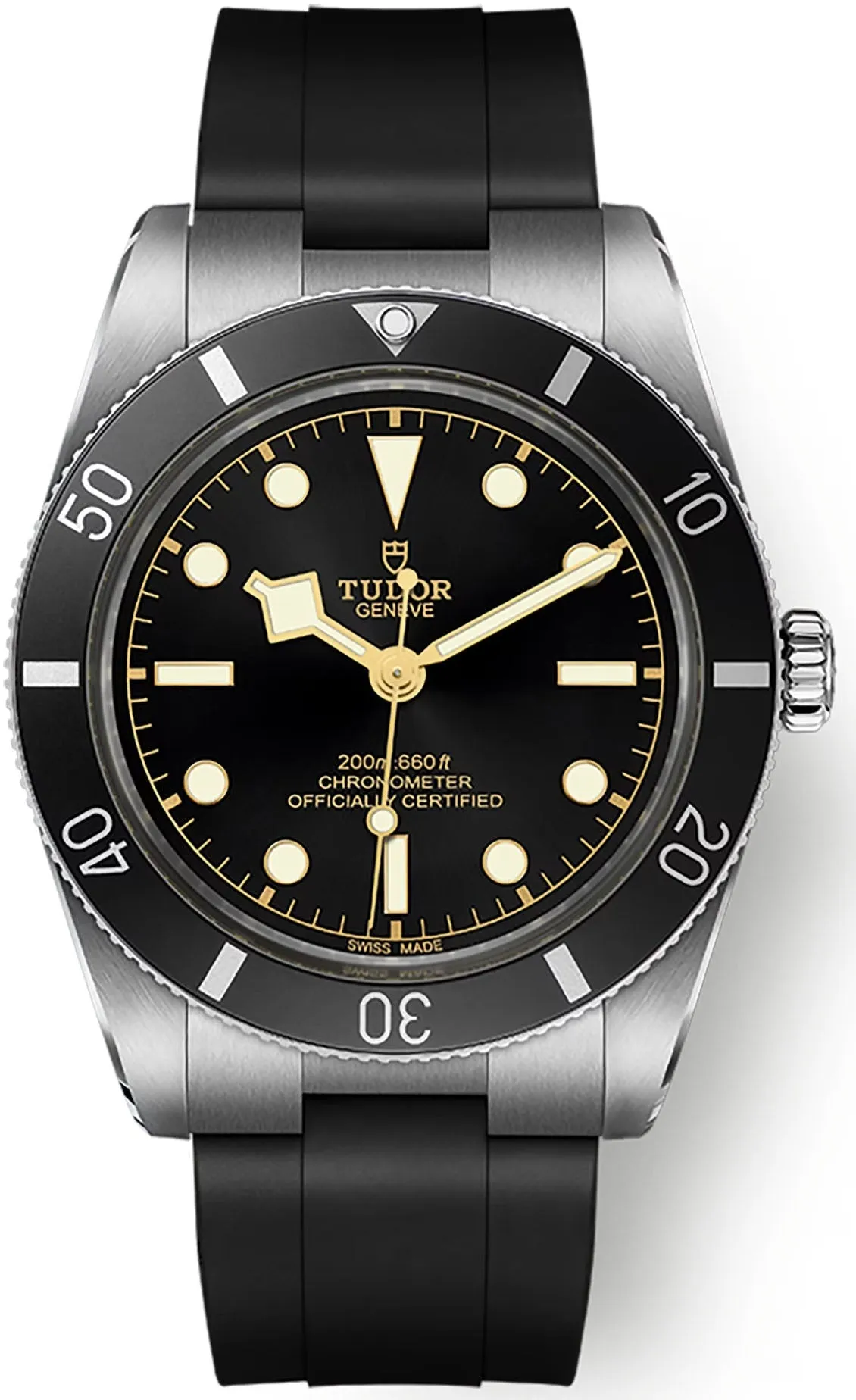 TUDOR Black Bay 54 Watch