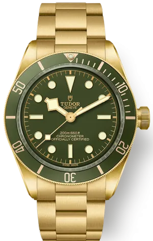 TUDOR Black Bay 58 18k Watch