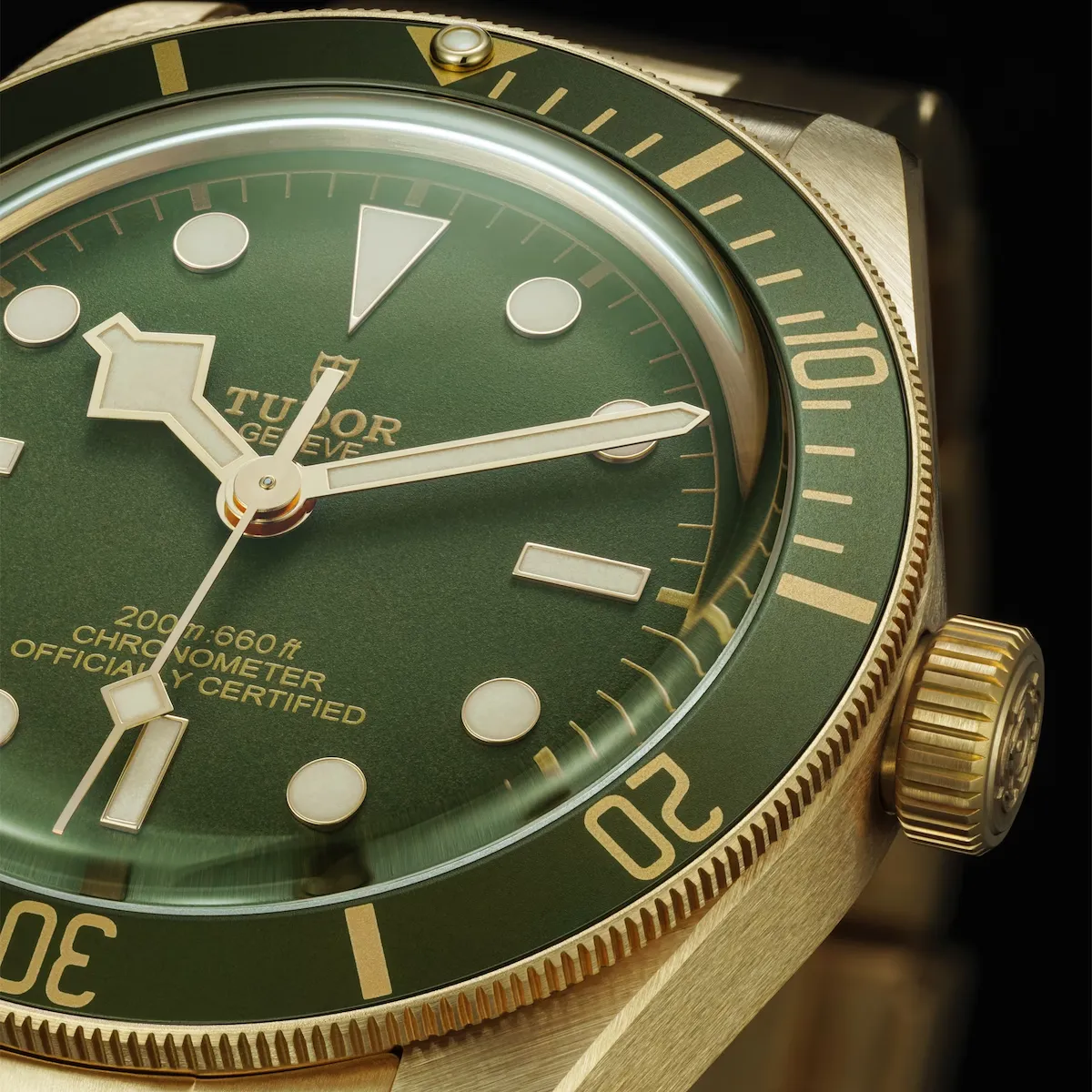 TUDOR Black Bay 58 18k Watch