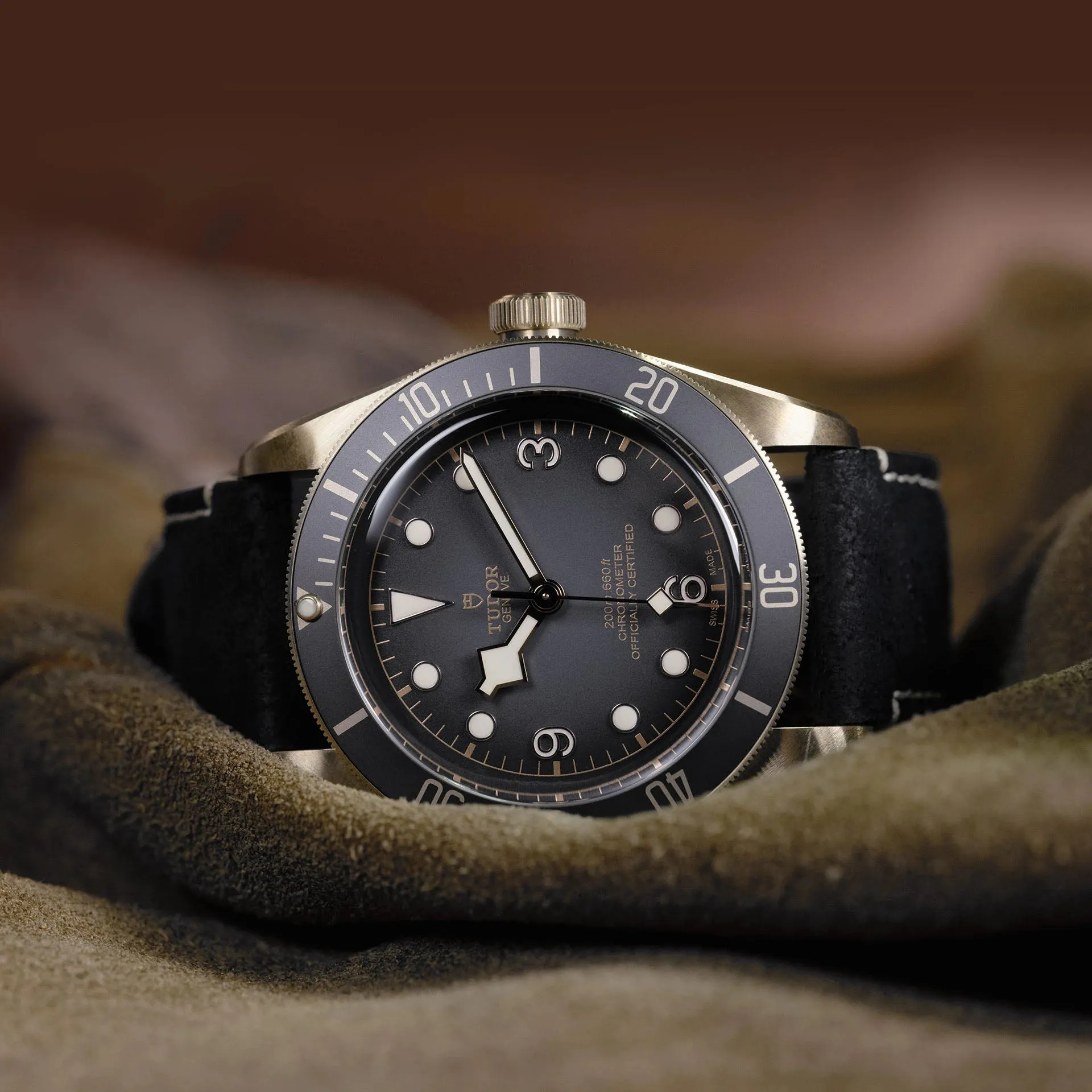 TUDOR Black Bay Bronze Watch