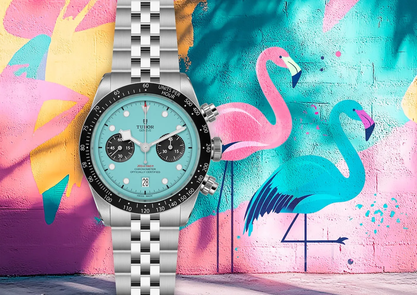 TUDOR Black Bay Chrono Flamingo Blue Watch