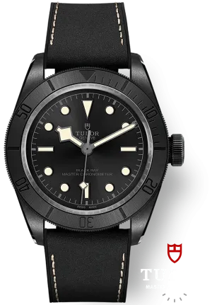 TUDOR Black Bay One 41 Watch