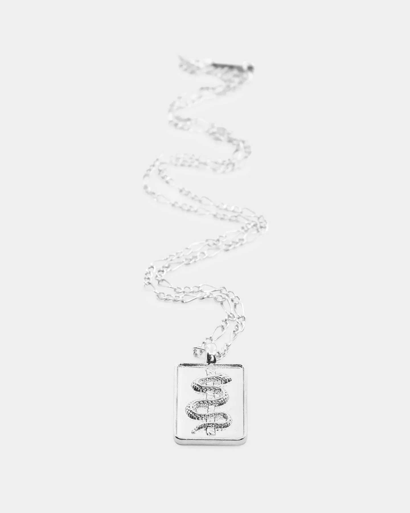 Wild for the Weekend Serpentine Rectangle Necklace Silver