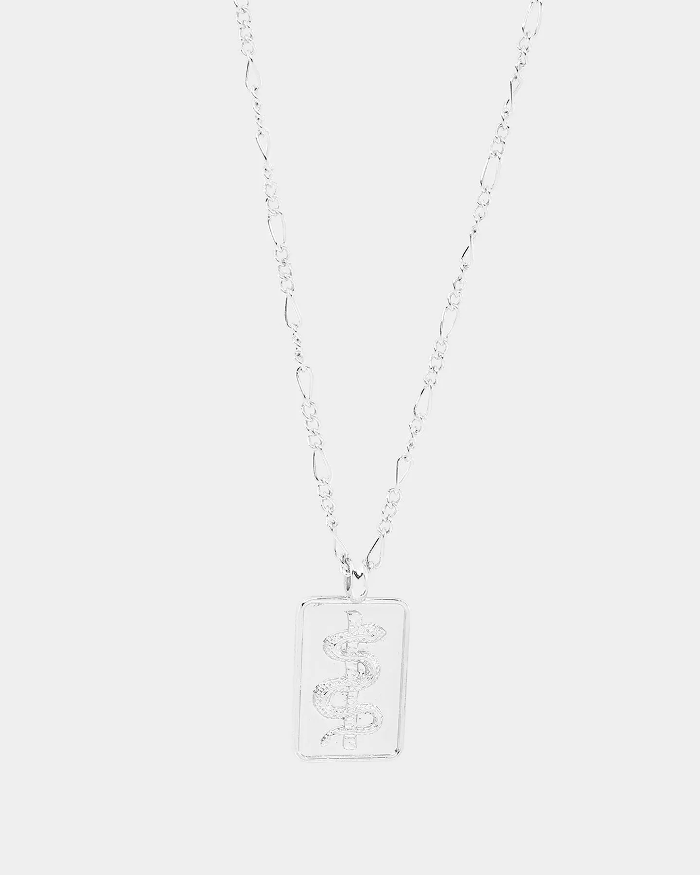 Wild for the Weekend Serpentine Rectangle Necklace Silver